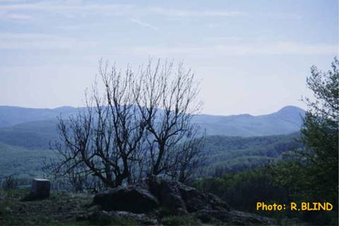 paysage(SK)