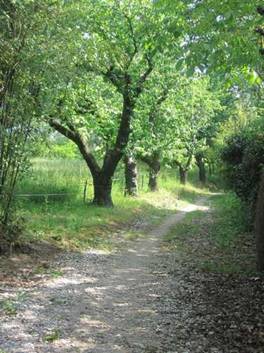 moissac-44.jpg