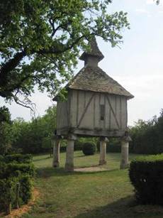 moissac-58.jpg