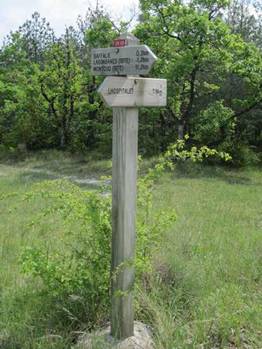 moissac-84.jpg