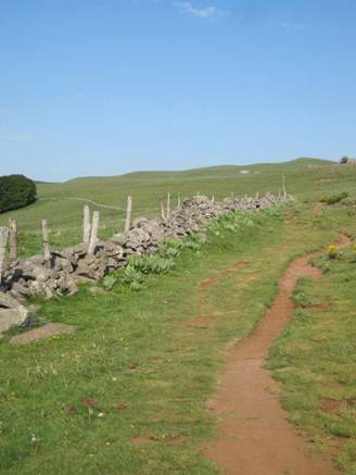 aubrac09.jpg