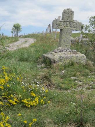 aubrac13.jpg