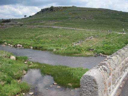 aubrac15.jpg