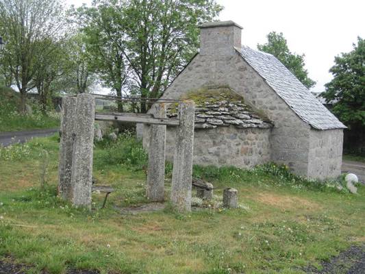 aubrac17.jpg