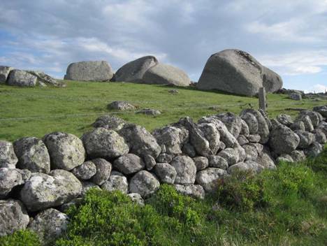 aubrac19.jpg