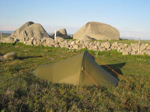 aubrac21.jpg
