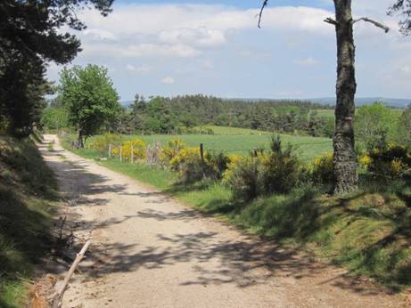 aubrac30.jpg