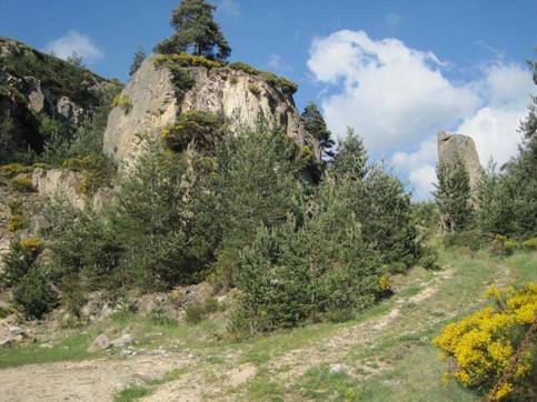 aubrac31.jpg