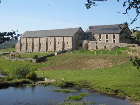 aubrac39.jpg