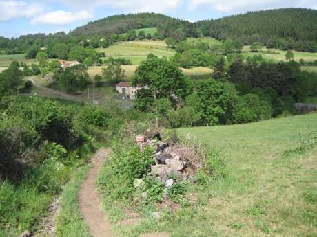 aubrac50.jpg