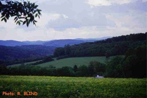 img020