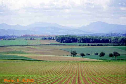 img023