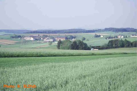 img029