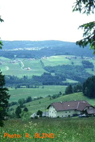 img039