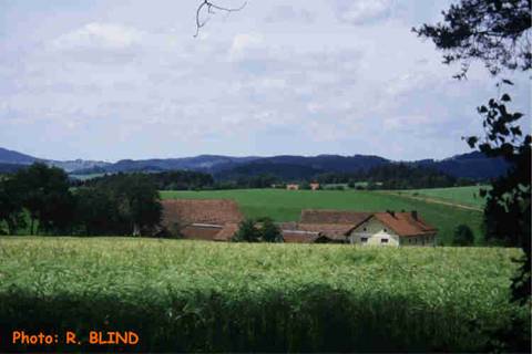 img056