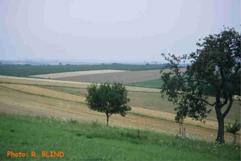 img107